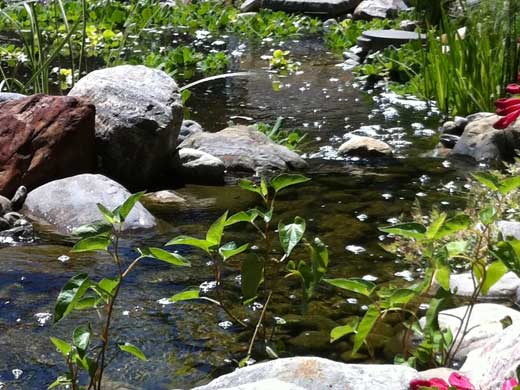 Let us enhance your backyard with a waterfeature Ponds